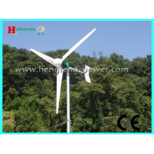 Turbine de vent à axe horizontal 2000W (sans entretien)